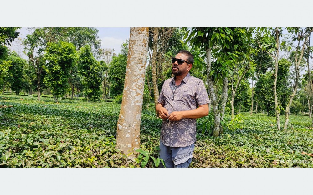Sajilo Khoj